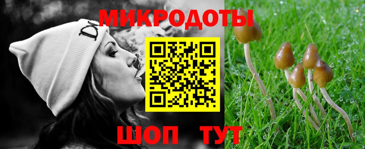Ейск  закладки  Вход с VPN  Галлюциногенные грибы мицелий 
