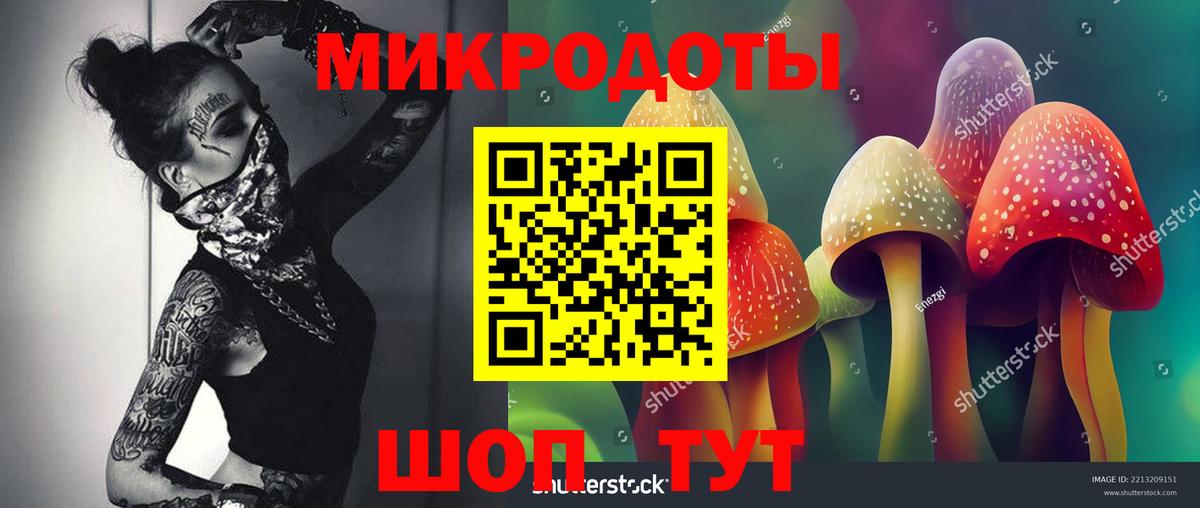 Псилоцибиновые грибы Psilocybine cubensis Ейск